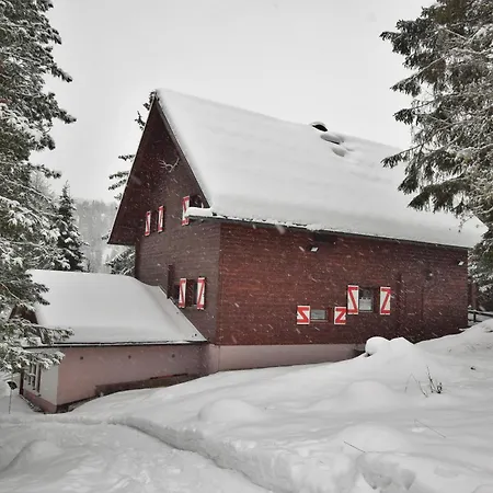 Zirbenwald